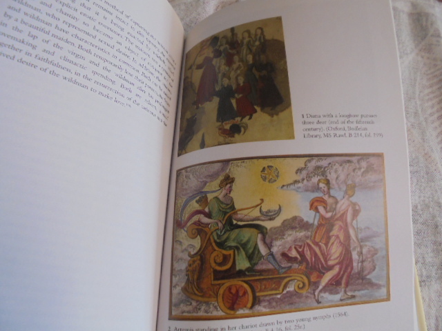 洋書　Daughter os Artemis　アルテミスの娘　中世とルネサンス　狩猟マニュアル論文　_画像2