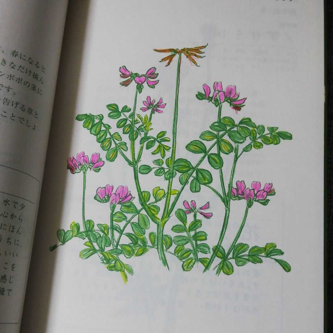 高齢者のための花のぬり絵book 色えんぴつと絵の具で楽しむ四季の花 Product Details Yahoo Auctions Japan Proxy Bidding And Shopping Service From Japan 高齢者のための花のぬり絵book 色えんぴつと絵の具で楽しむ四季の花 Product Details Yahoo Auctions Japan Proxy Bidding And Shopping Service From Japan
