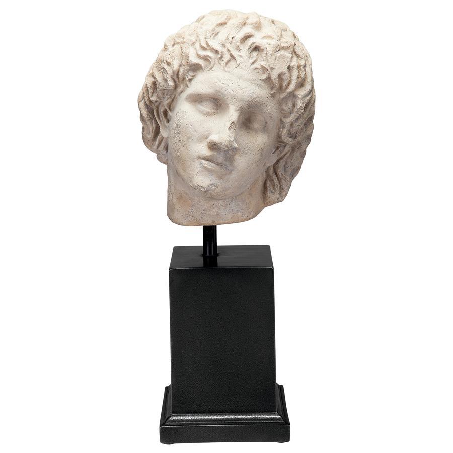  Alexander the great. head image western sculpture European style objet d'art interior ornament old fee Greece kedonia.peru car old fee writing Akira carving image equipment ornament antique goods stone image manner museum pedestal 