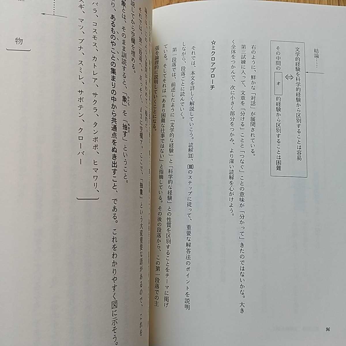 送料無料&即決】酒井の現代文ミラクルアイランド 増補改訂版 評論篇