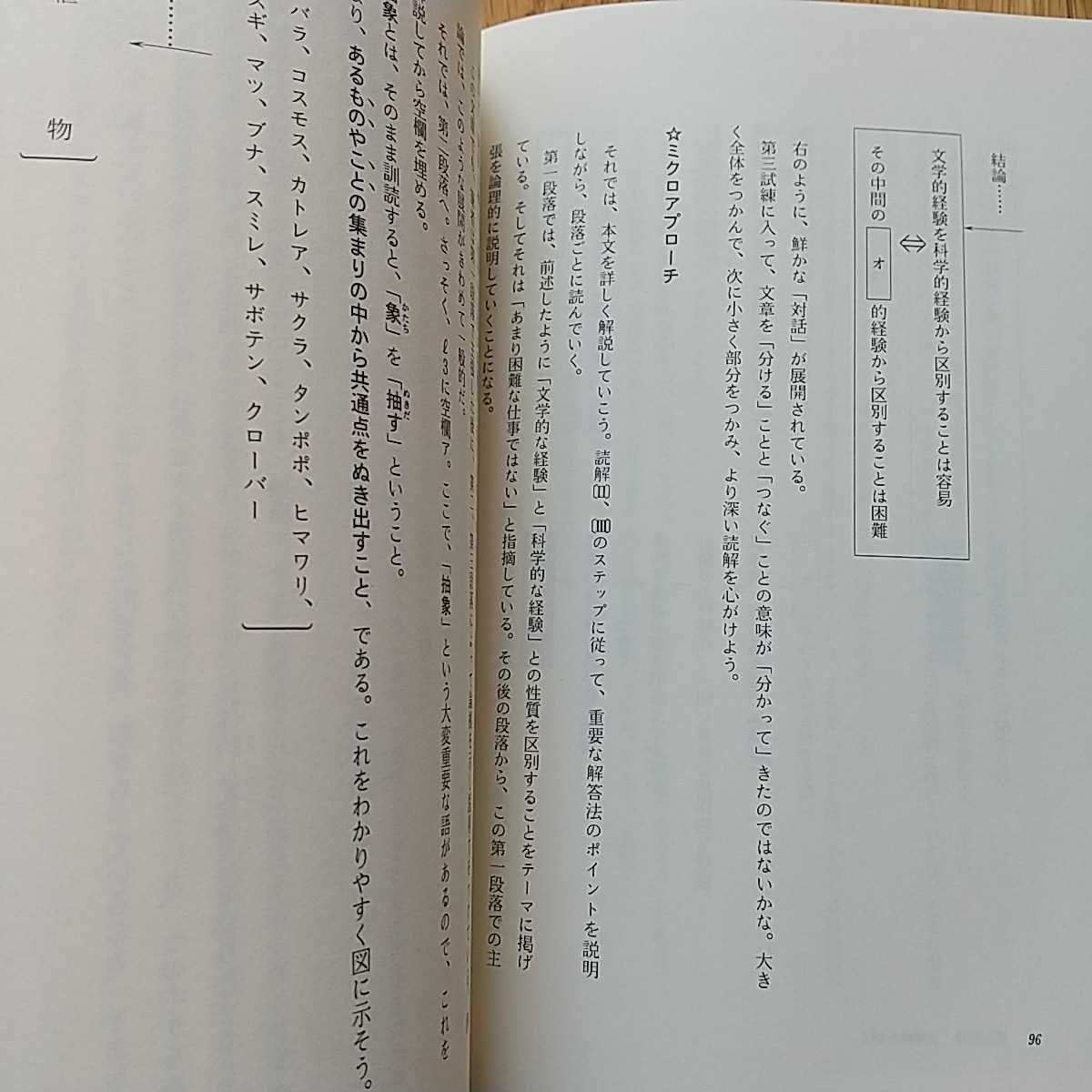 酒井の現代文ミラクルアイランド 増補改訂版 評論篇 情況出版 中古 代々木ゼミナール 代ゼミ 国語 評論編 大学入試 受験_画像6