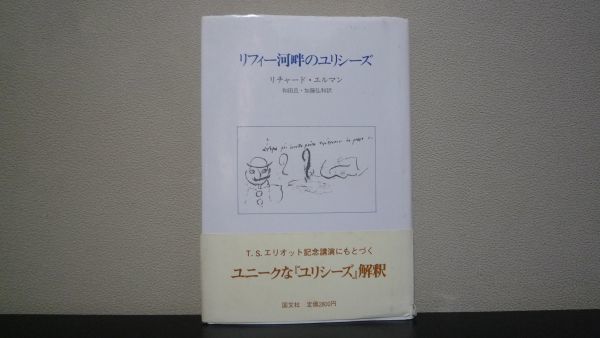 リフィー河畔のユリシーズ　リチャード・エルマン_画像1