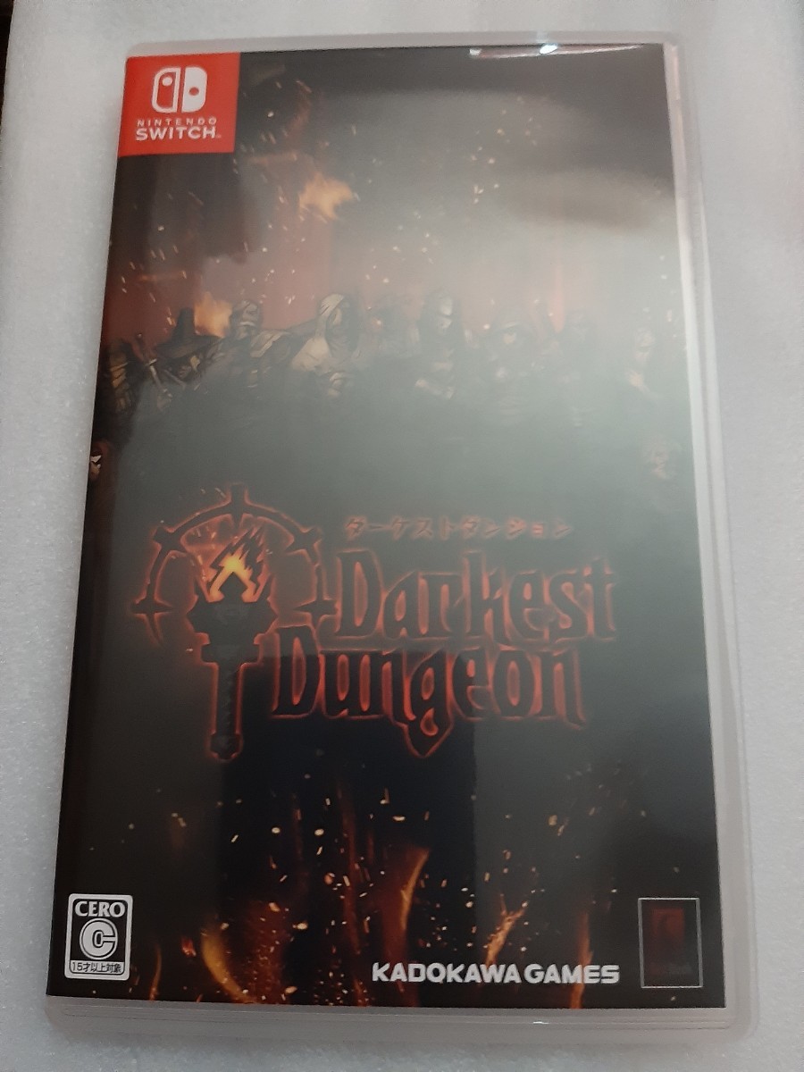美品【Switch】 Darkest Dungeon　ダウンロードコード未使用