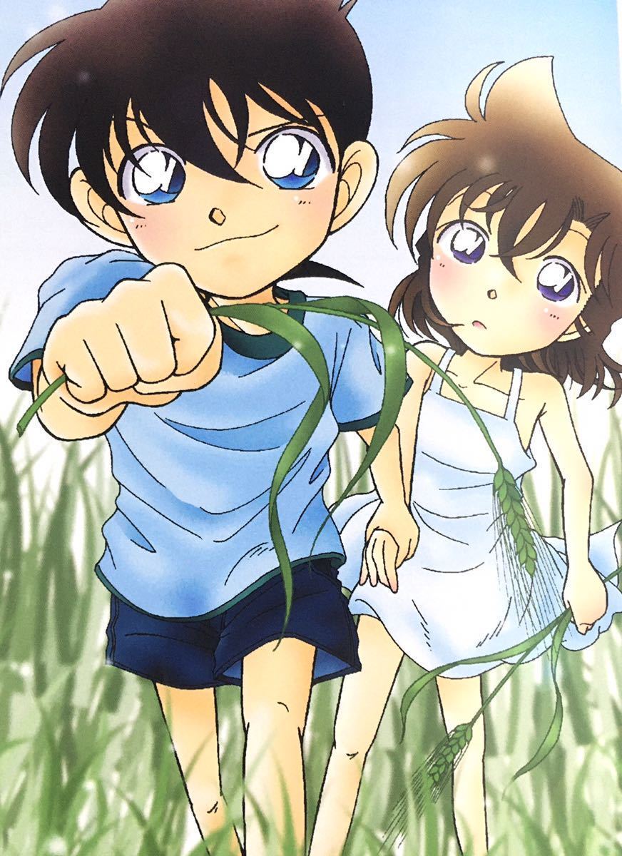 * Detective Conan журнал узкого круга литераторов * Conan × орхидея * Kudo новый один *2 шт. комплект *