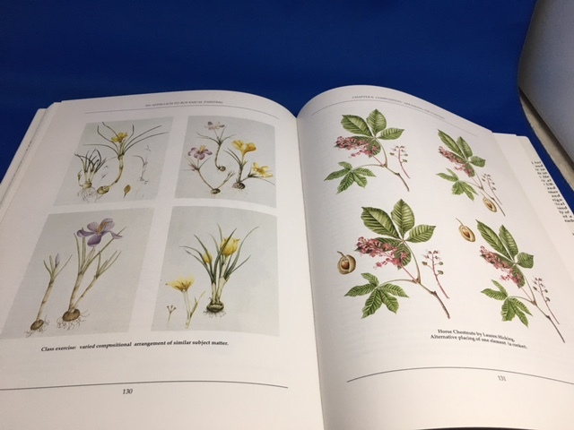 ○洋書○ An Approach to Botanical Painting○植物 ボタニカル ○洋書○ An Approach to Botanical Painting○植物 ボタニカル