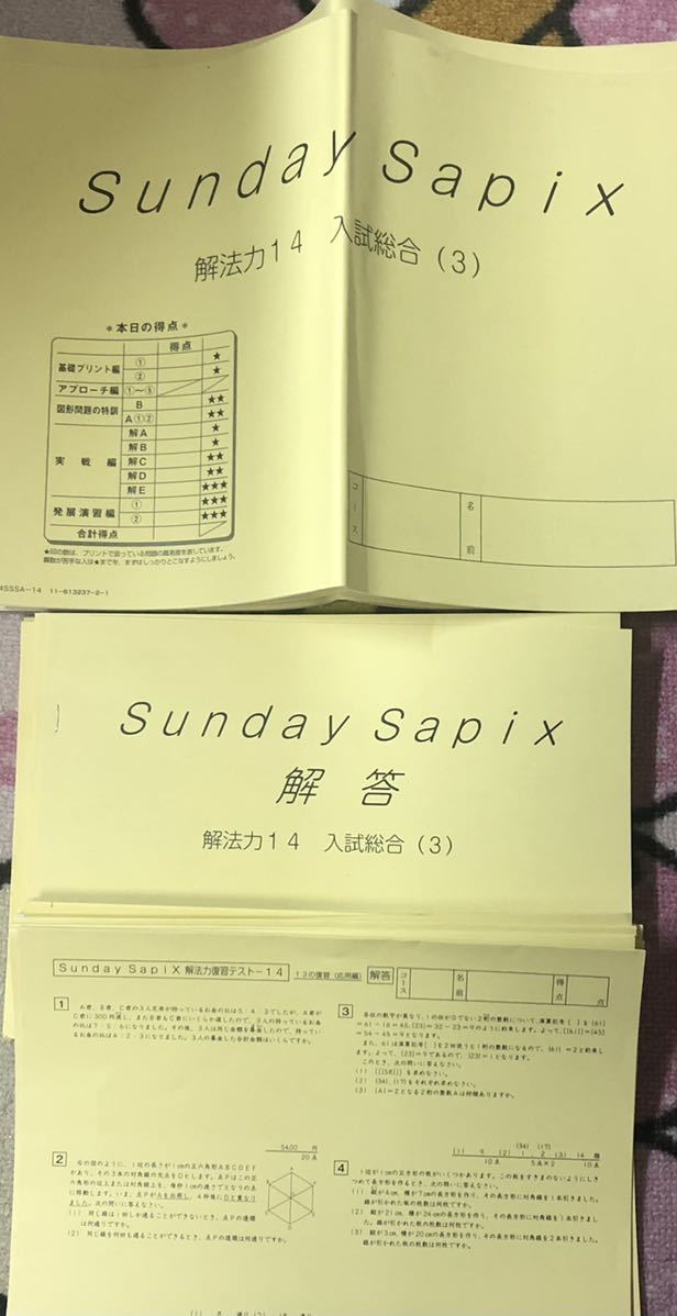 速くおよび自由な サピックス SAPIX 小6/6年 算数 サンデーサピックス