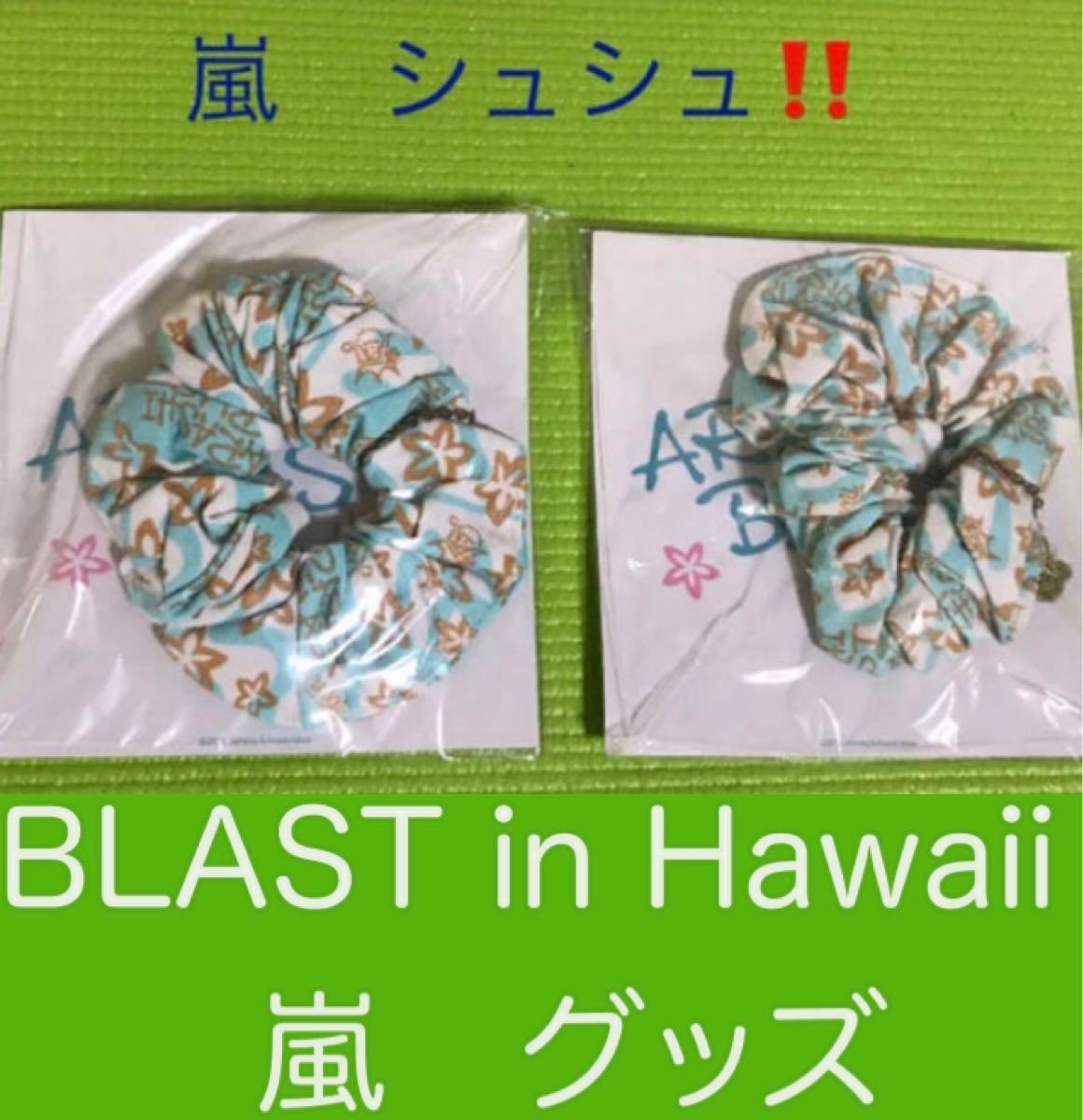 ★嵐　2014 ARASHI BLAST in Hawaii のシュシュ★ニ個セット