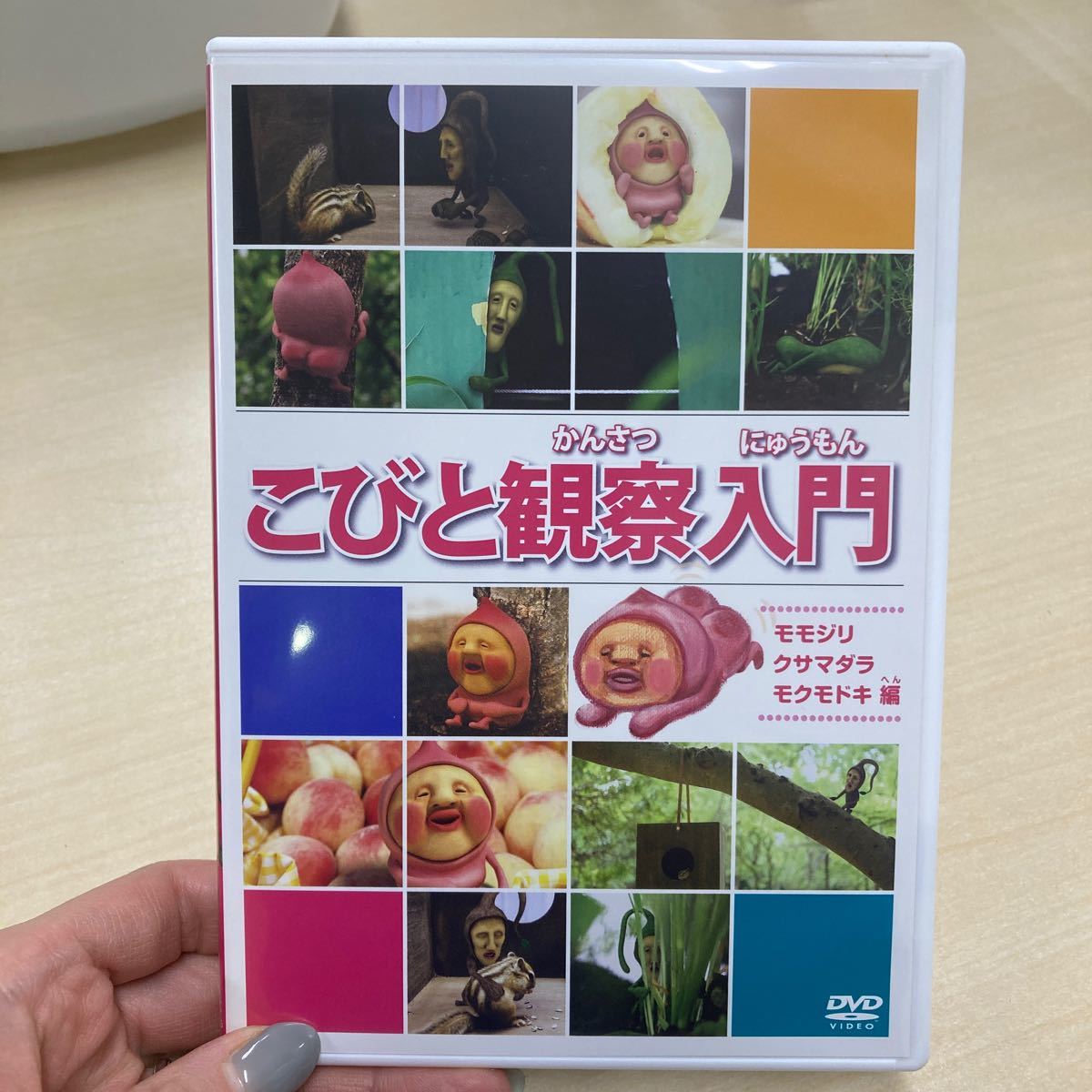 DVD】こびと観察入門 モモハナ BOX <初回生産限定商品 DVD】こびと観察入門 モモハナ BOX <初回生産限定商品