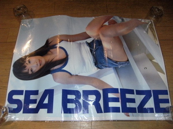 ライトブラウン/ブラック 非売品☆店頭用 資生堂 SEA BREEZE