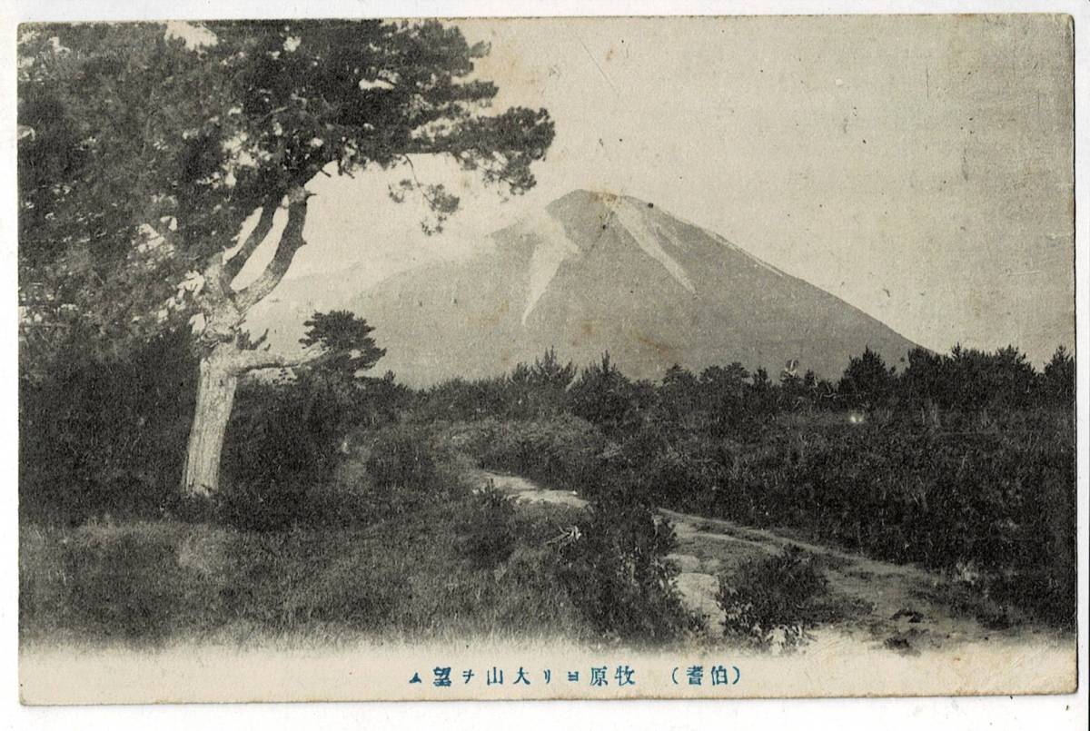 ＊（伯耆）牧原より大山を望む 使用済み絵葉書 大山登山の日に書かれたもの 大正六年 消印不鮮明 島根県 Y21/02/15-2_画像1