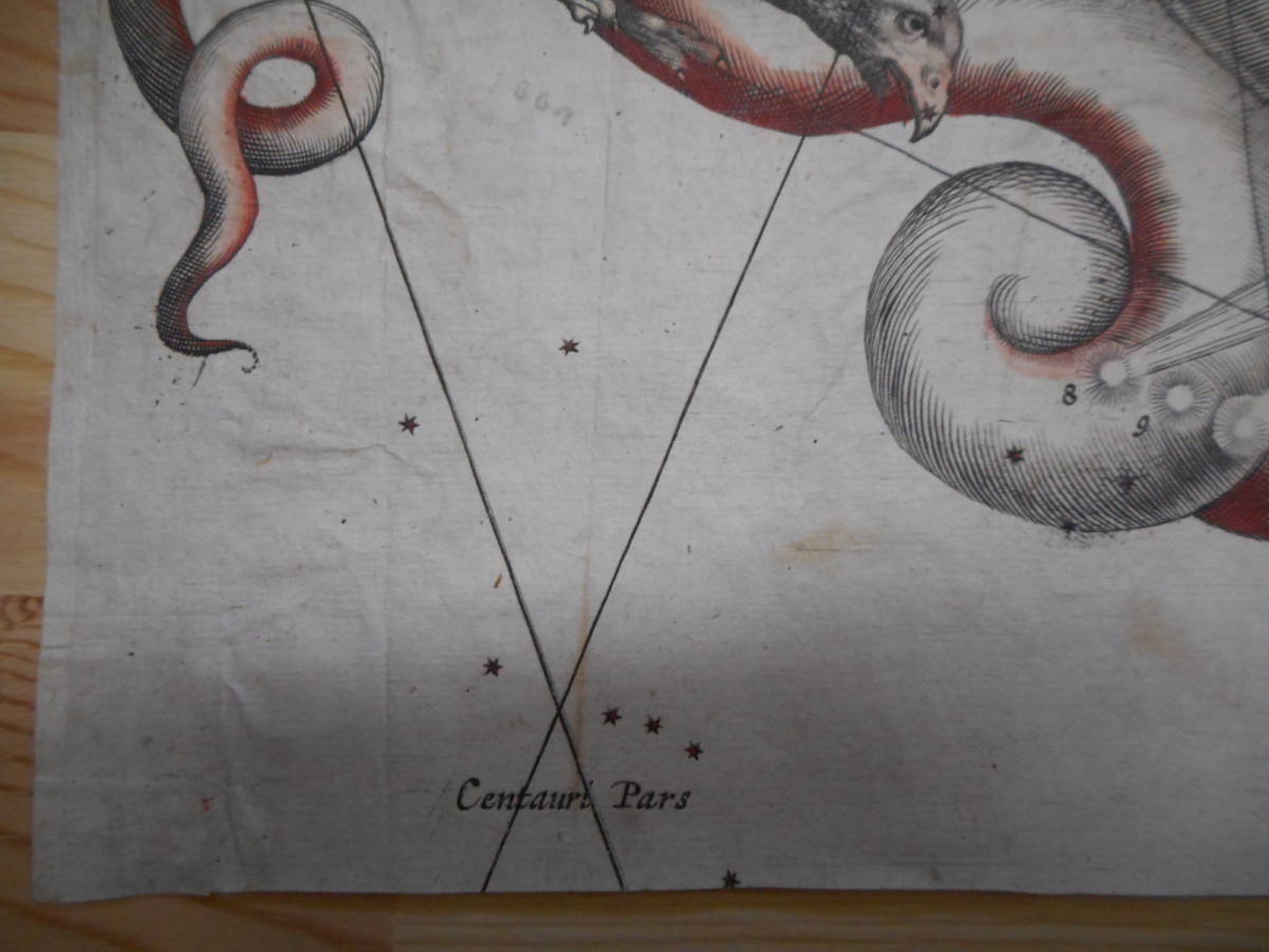 即決アンティーク、天文、天体、星座早見盤、天球図、手彩色木版画、星図、1670年頃『彗星出現図』Star map, Planisphere, Celestial atlas_画像6