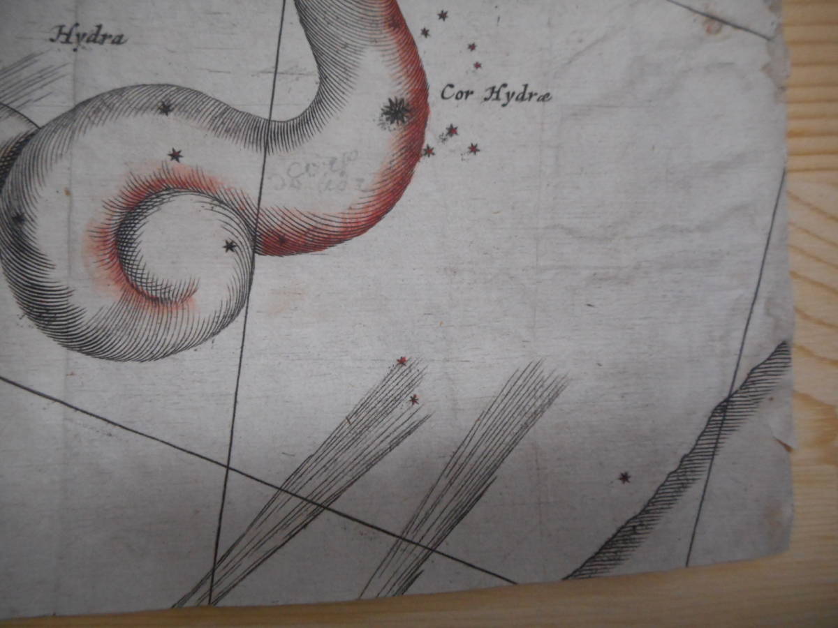 即決アンティーク、天文、天体、星座早見盤、天球図、手彩色木版画、星図、1670年頃『彗星出現図』Star map, Planisphere, Celestial atlas_画像5