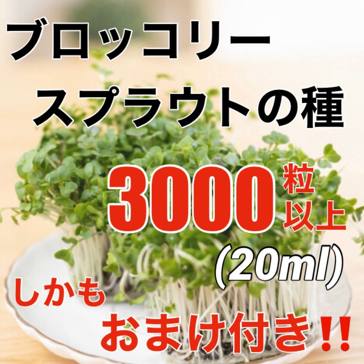 Paypayフリマ 安心の有機種子 ブロッコリースプラウトの種 ml オーガニック 種子 Paypayフリマ 安心の有機種子 ブロッコリースプラウトの種 ml オーガニック 種子