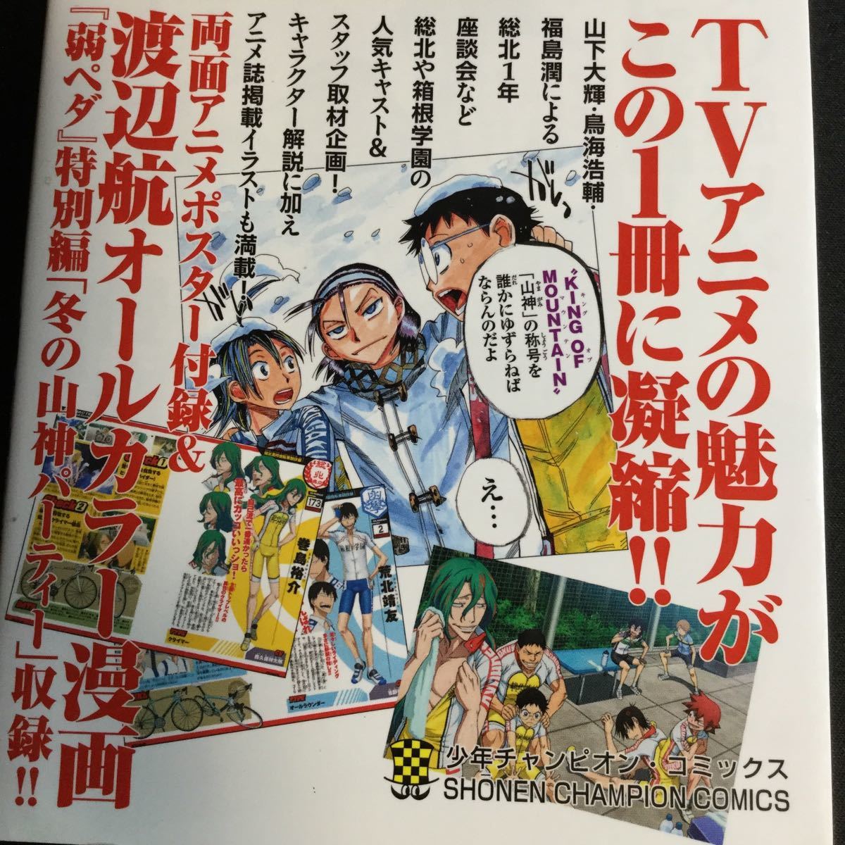 Paypayフリマ 小説版弱虫ペダル 渡辺航 時海結似 巻島 東堂 二人の約束 税抜743円 Tvアニメ公式ファンブック税抜910円 2巻セット