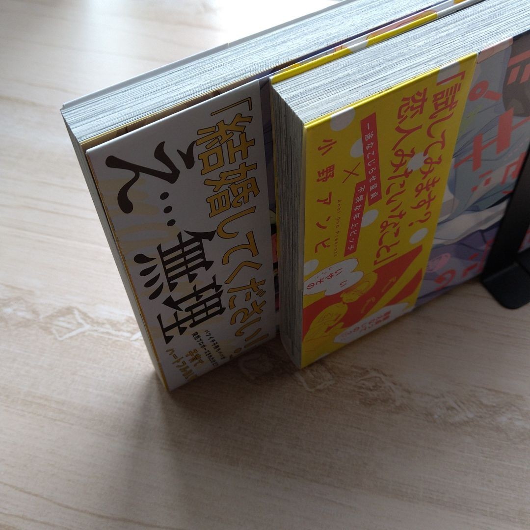 bl 小野アンビ2冊 出版社ペーパー、アニメイト限定4Pリーフレット付
