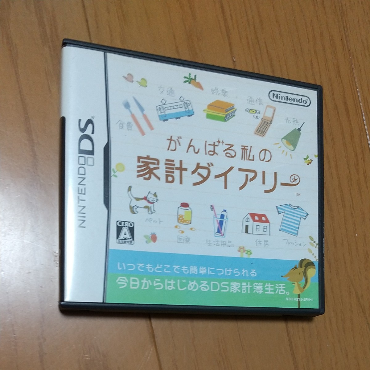 ニンテンドーDS DSソフト がんばる私の家計ダイアリー