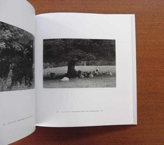 ブルース・デヴィッドソン ポール・カポニグロ 写真集□美術手帖 芸術新潮 マグナム IMA LFI Magnum BRUCE DAVIDSON PAUL CAPONIGRO - アート写真 ブルース・デヴィッドソン ポール・カポニグロ 写真集□美術手帖 芸術新潮 マグナム IMA LFI Magnum BRUCE DAVIDSON PAUL CAPONIGRO - アート写真