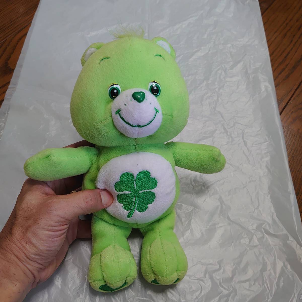 ケアベア Care Bears 10インチベア GOOD LUCK Bear PLAY ALONG TOY社製 ヴィンテージ 2002年　グッドラックベア_画像1