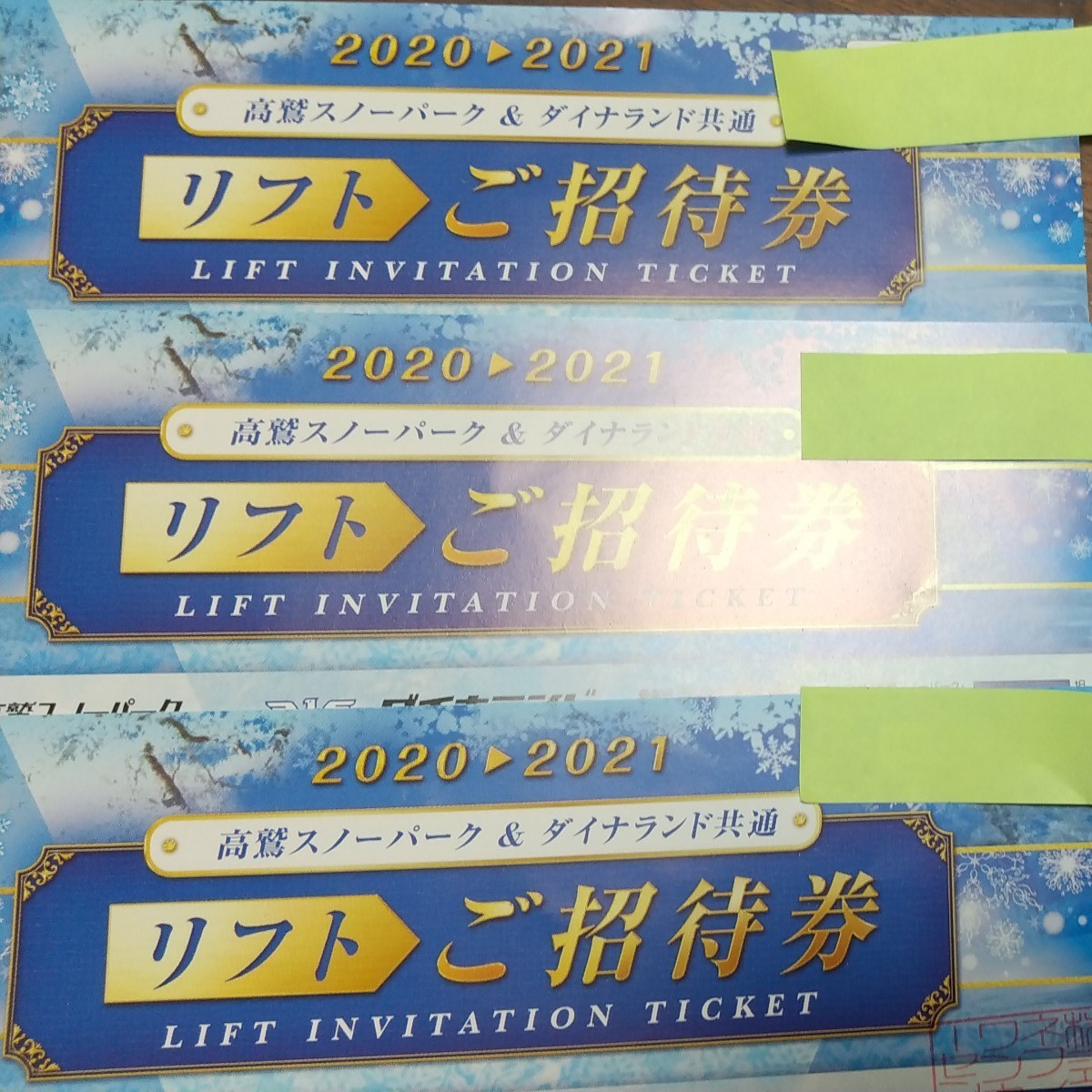 高鷲スノーパークとダイナランドの共通リフト1日券 引換券 3枚｜PayPay