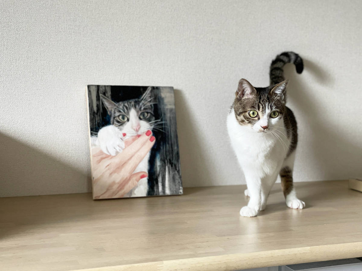 岩堀葉 猫画「きみが好き」【原画】 | gester.es