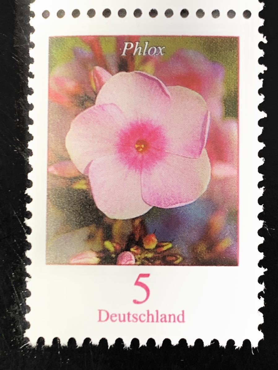 ドイツ花切手きれいな花★フロックス 5セント 2017年 係数番号付き　未使用極美品_画像1