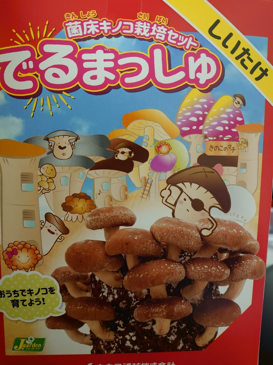 Paypayフリマ 菌床きのこ栽培セット でるまっしゅ しいたけ Paypayフリマ 菌床きのこ栽培セット でるまっしゅ しいたけ