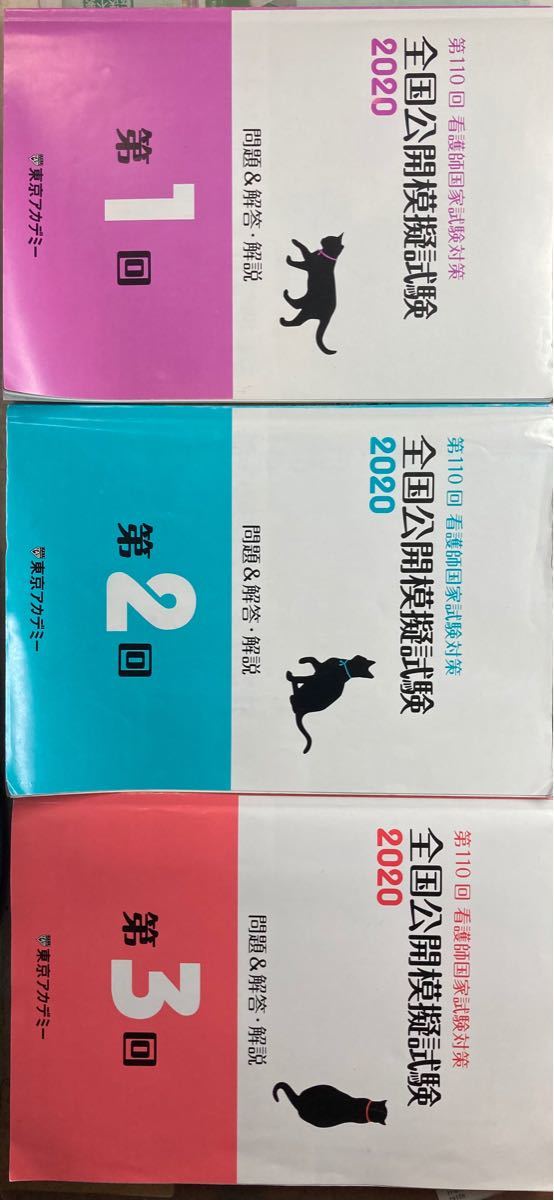 第110回看護師国家試験対策　全国公開模擬試験2020 東京アカデミー　問題&解答・解説