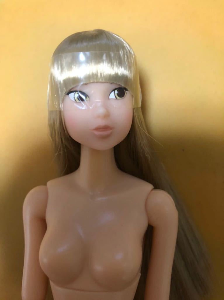 momoko doll корпус только CCS ① домашнее животное Works custom тоже 