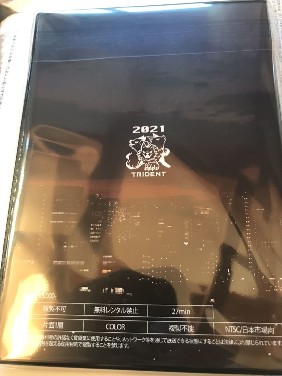 新品未開封】TRiDENT『WINTER COLLECTION BOX』 DVDBABYMETALBAND-MAID