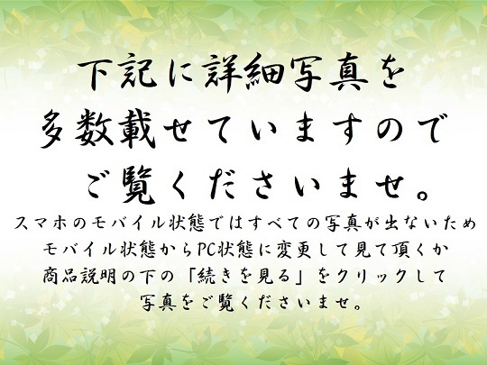 代購代標第一品牌-樂淘letao-大仏師【向吉悠睦】作 金彩彩色 木彫