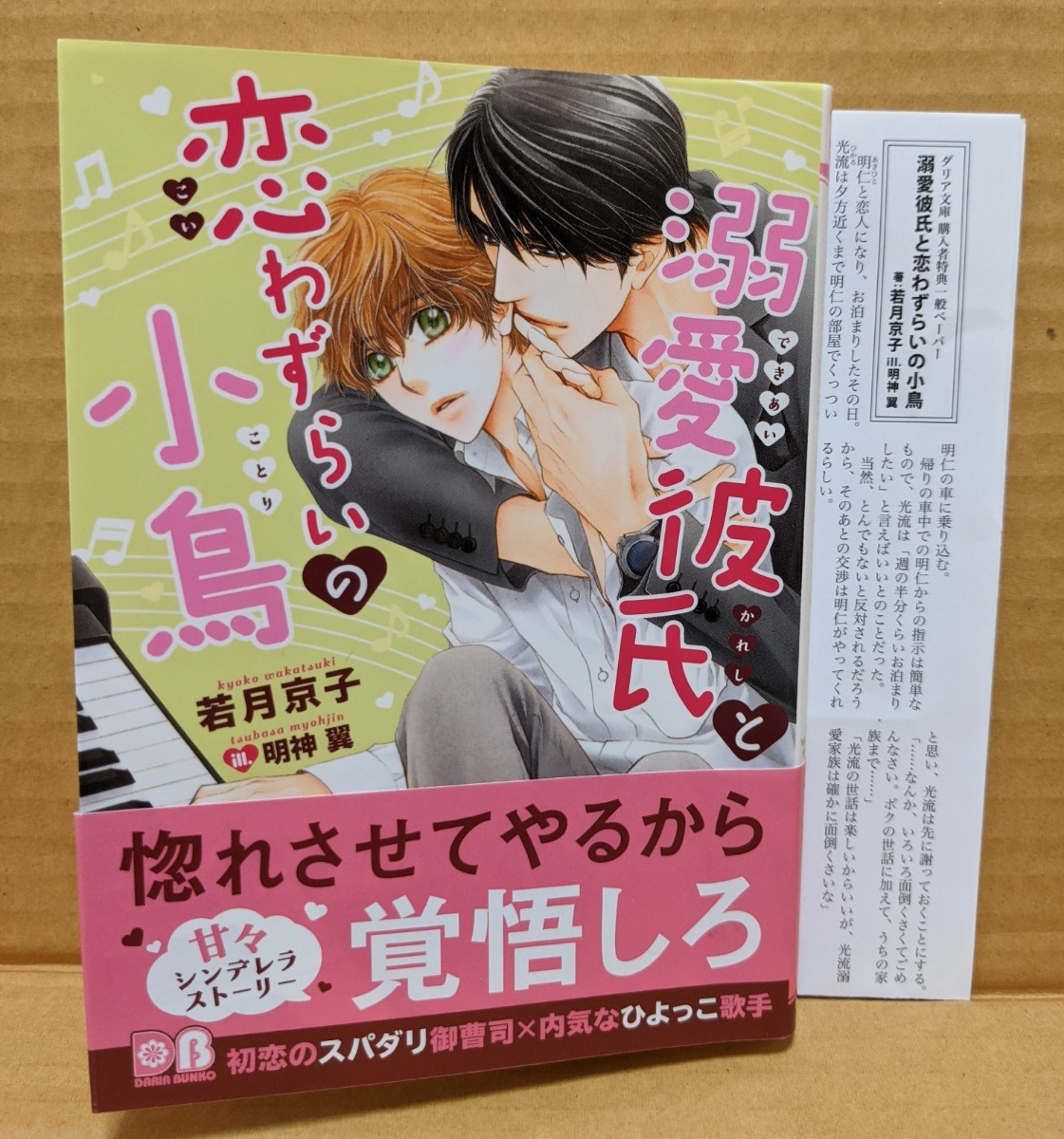 ひろまま様専用ページです。　BL小説  溺愛彼氏と恋わずらいの小鳥　若月京子