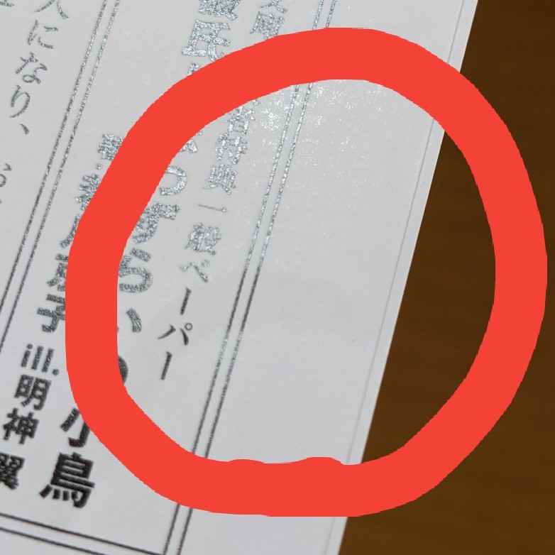 ひろまま様専用ページです。　BL小説  溺愛彼氏と恋わずらいの小鳥　若月京子