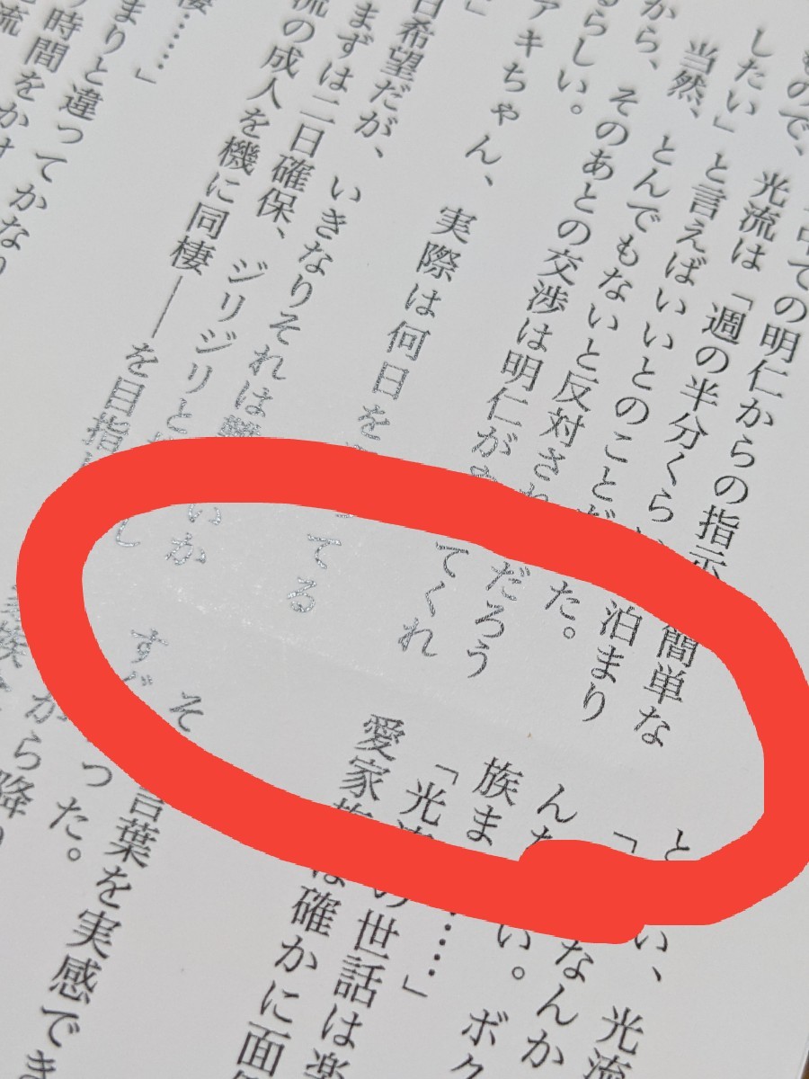 ひろまま様専用ページです。　BL小説  溺愛彼氏と恋わずらいの小鳥　若月京子