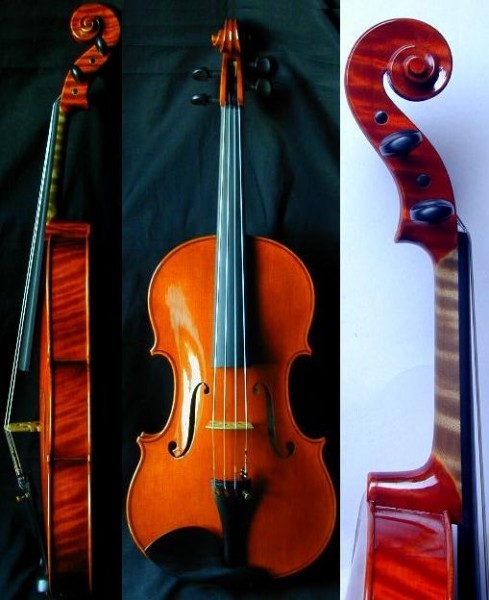 tsan* Anne .. viola *410mm* Италия лак specification * звук цвет выдающийся 