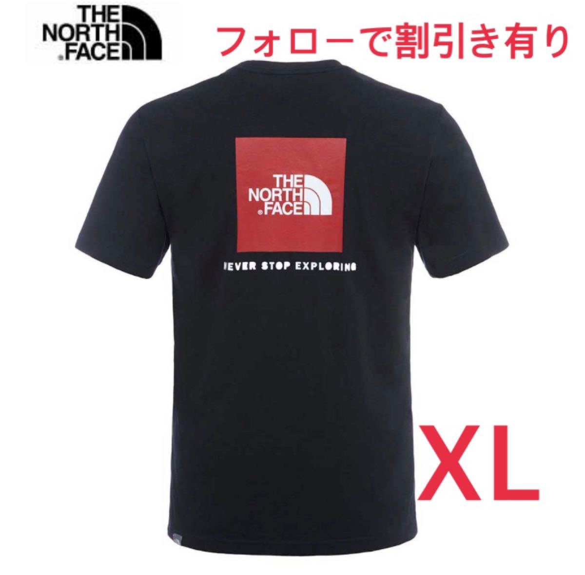 THE NORTH FACE ノースフェイスTシャツ ボックスロゴ 海外限定 半袖Tシャツ