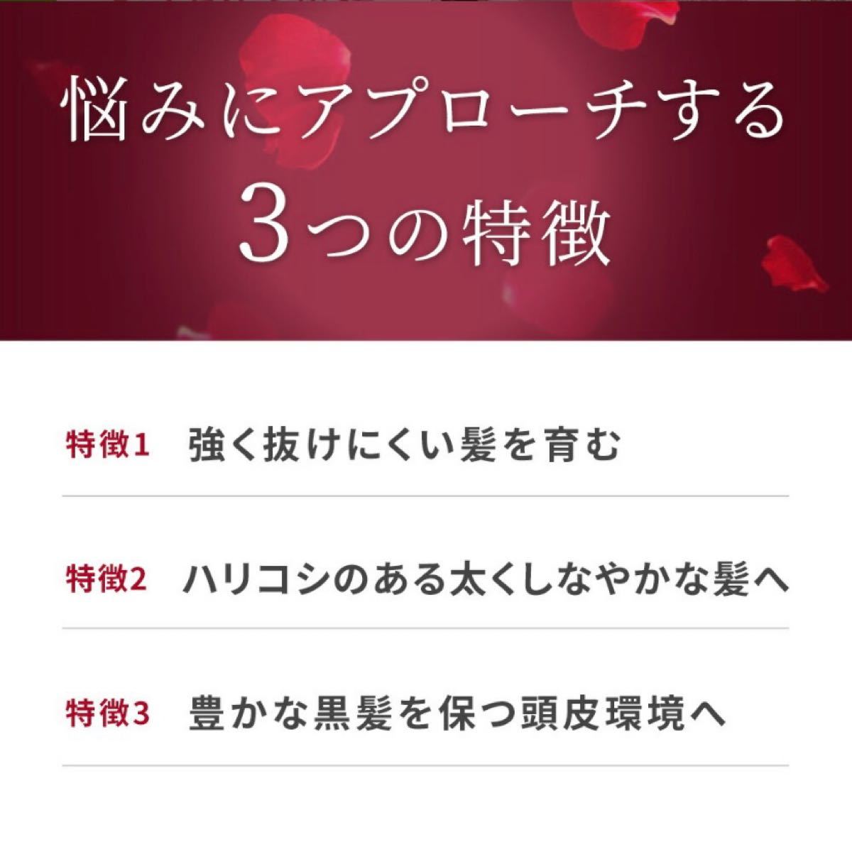 【新品】スカルプD ボーテ　エストロジー　セラム80ml 2本セット