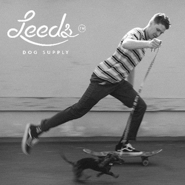 【送料無料】Leeds Dog Supply リーズドッグサプライ HANK STEP IN HARNESS ドッグハーネス Mサイズ_画像5