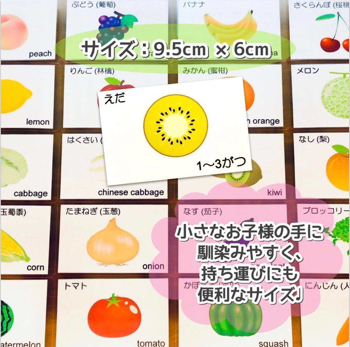 Paypayフリマ ピットリー様 野菜と果物 断面図カード 小学校受験対策 幼児教育 知育カード Paypayフリマ ピットリー様 野菜と果物 断面図カード 小学校受験対策 幼児教育 知育カード