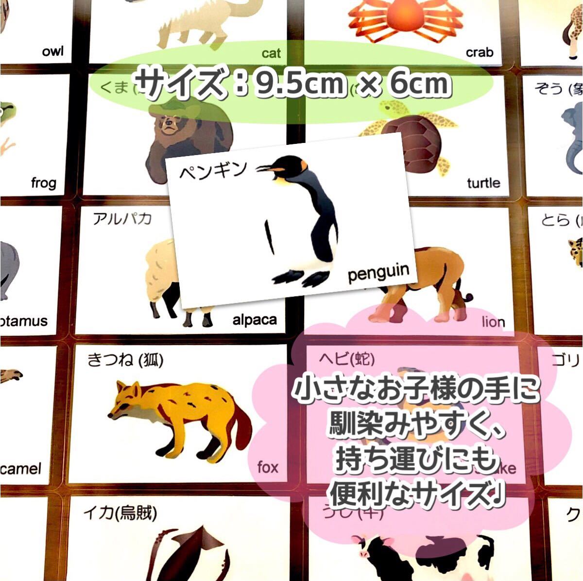 Paypayフリマ 動物シルエットカード 生き物カード 小学校受験対策 幼児教育 Paypayフリマ 動物シルエットカード 生き物カード 小学校受験対策 幼児教育