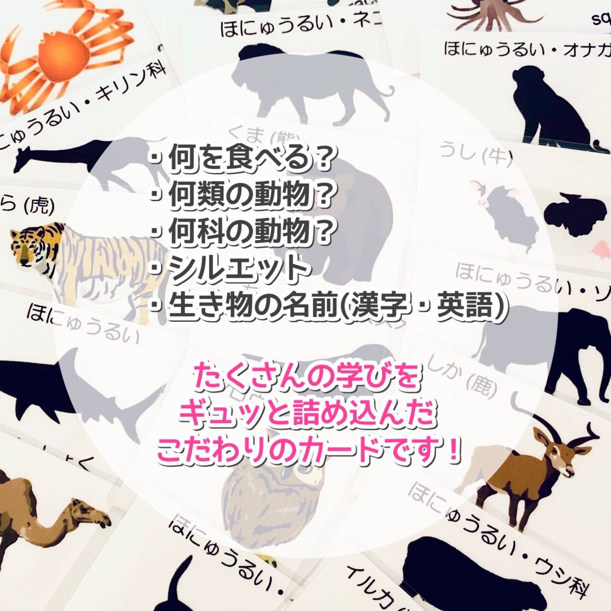 Paypayフリマ 動物シルエットカード 生き物カード 小学校受験対策 幼児教育 Paypayフリマ 動物シルエットカード 生き物カード 小学校受験対策 幼児教育