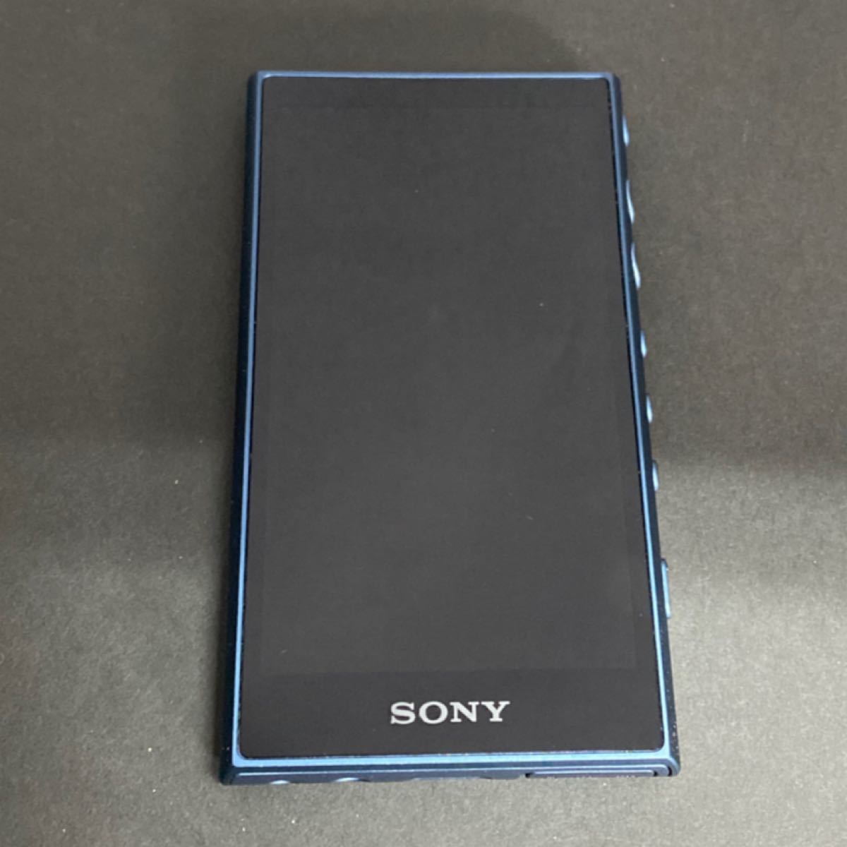 SONY WALKMAN Aシリーズ NW-A100シリーズ NW-A107(L) ブルー【美品