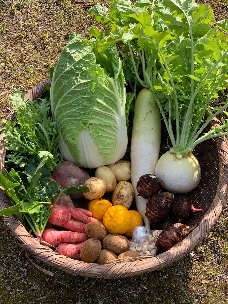 Paypayフリマ 無農薬冬野菜セット6種類以上 サイズ100 Paypayフリマ 無農薬冬野菜セット6種類以上 サイズ100