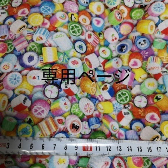 専用ページ キャンディ フルーツサンド 生地 写真プリント シーチング