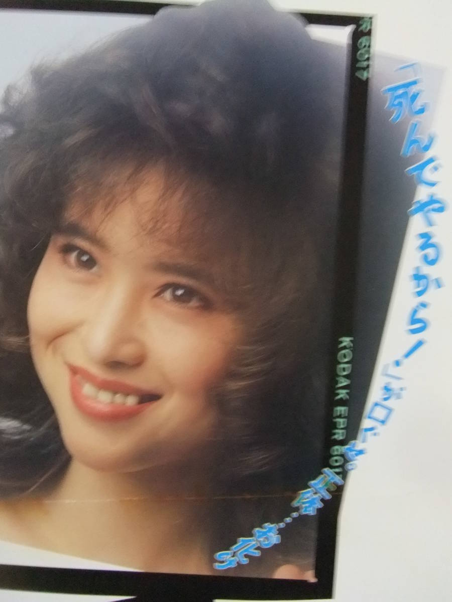 Q806 邦画ポスター どっちもどっち 松田聖子 明石家さんま 布施博 沢口靖子 森口博子 定岡正二 東宝 映画 売買されたオークション情報 Yahooの商品情報をアーカイブ公開 オークファン Aucfan Com Q806 邦画ポスター どっちもどっち 松田聖子 明石家さんま 布施博 沢口靖子 森口博子 定岡正二 東宝 映画 売買されたオークション情報 Yahooの商品情報をアーカイブ公開 オークファン Aucfan Com