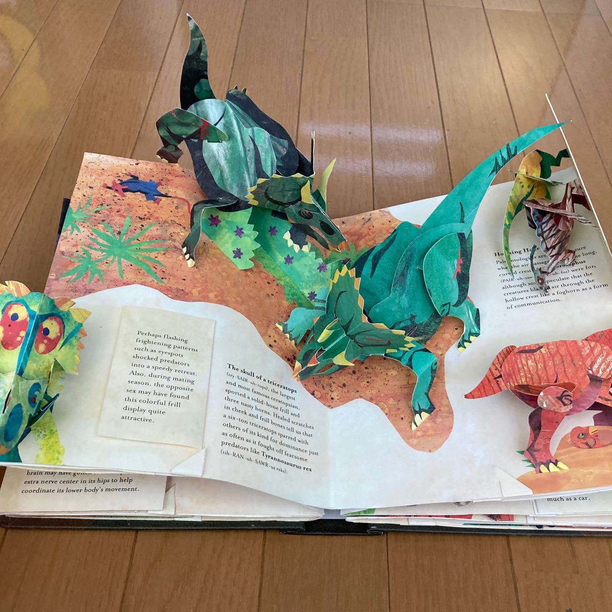 Paypayフリマ 飛び出す絵本 英語版 Dinosaurs 恐竜 ロバートサブダ Paypayフリマ 飛び出す絵本 英語版 Dinosaurs 恐竜 ロバートサブダ