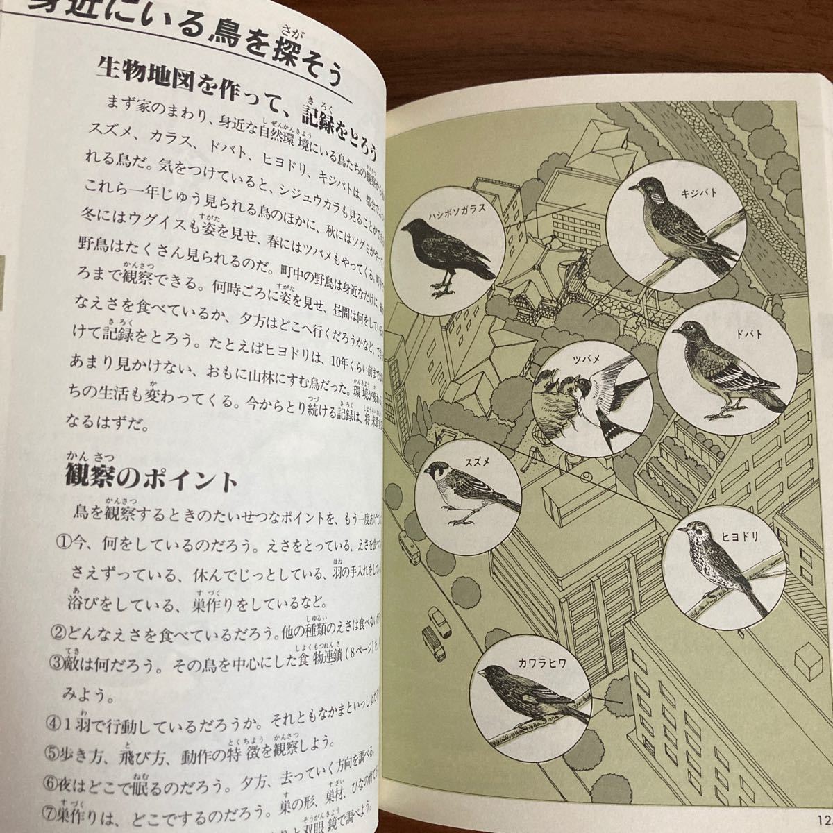 『自然図鑑　動物、植物を知るために』福音館