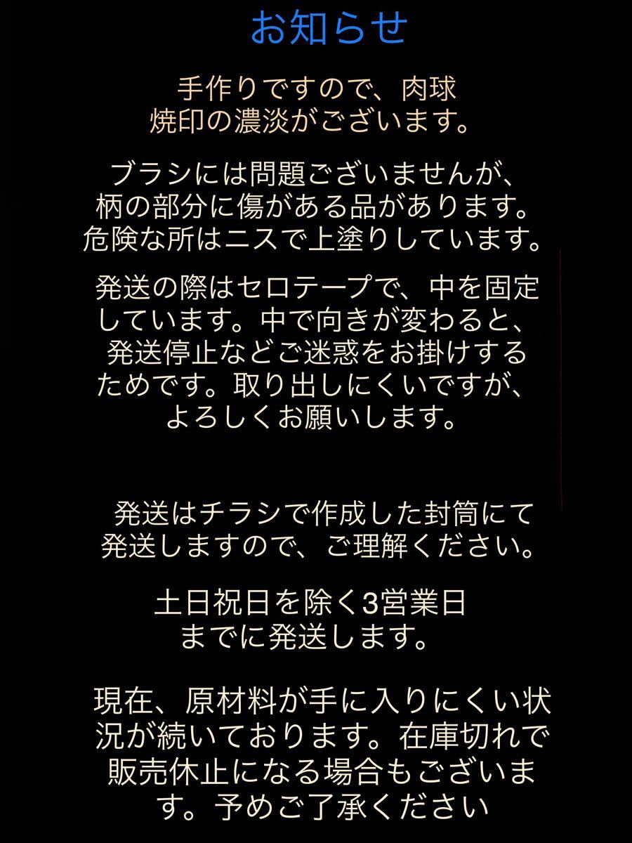 抜け毛捕獲！　ワイドサイズ魔法の猫ブラシ　ブラッシング　グルーミング