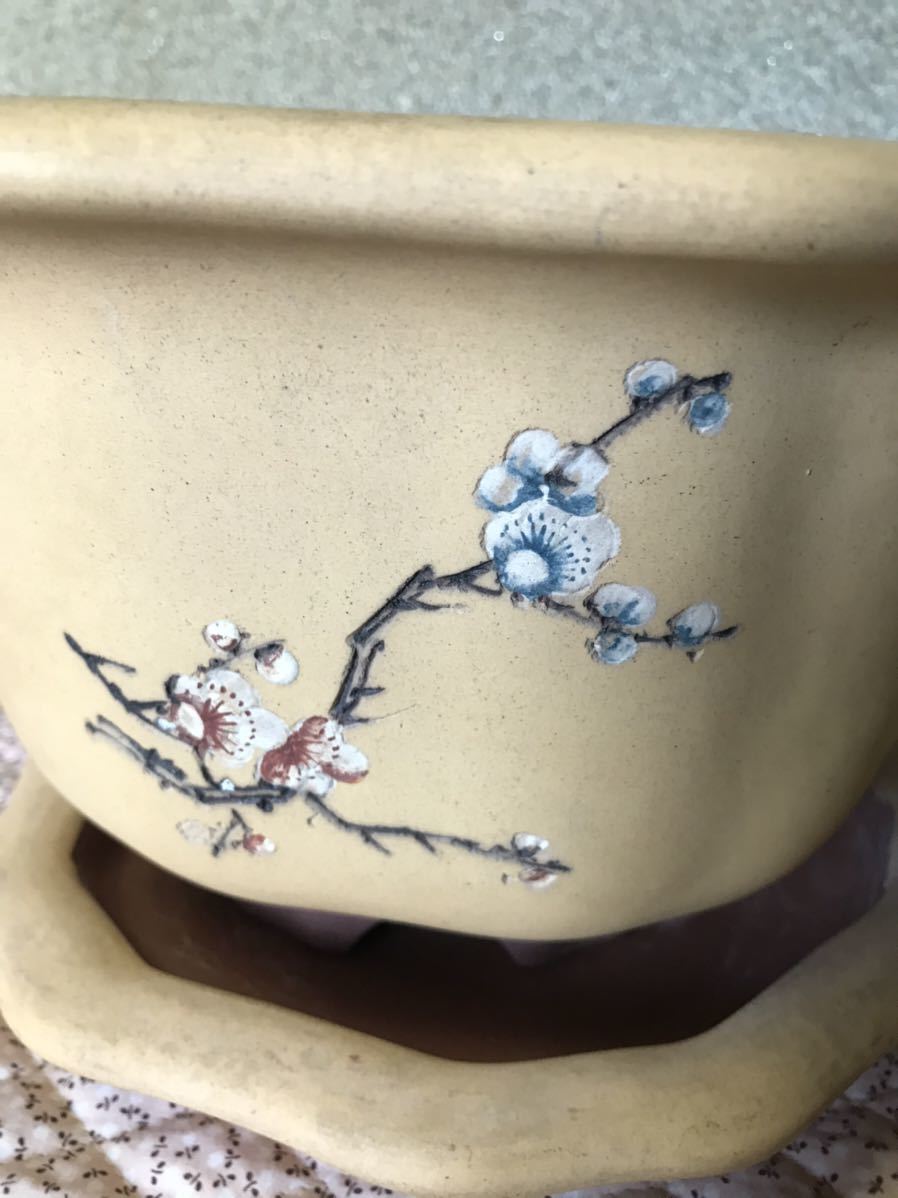 骨董品 朝暉 報春 盆栽鉢 中国 植木鉢 鉢 器 花瓶 花器 美品