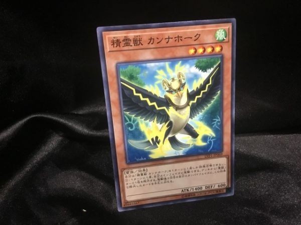 遊戯王 Lvp1 Jp069 精霊獣 カンナホーク ノーマル 3枚セット 定形可 遊戯王 コナミ 売買されたオークション情報 Yahooの商品情報をアーカイブ公開 オークファン Aucfan Com