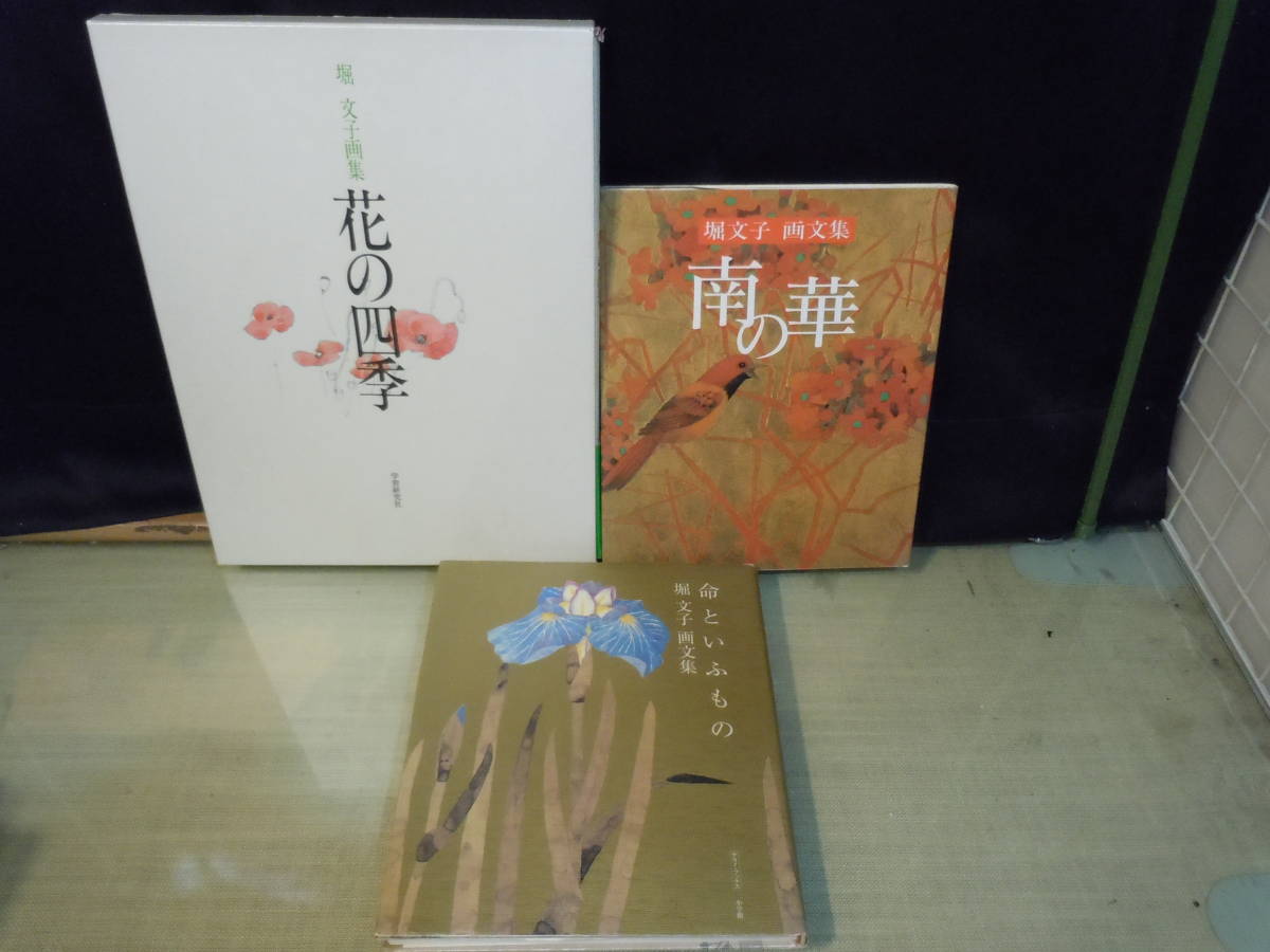 特別価格 画集/書店南の華堀文子画文集./命といふ